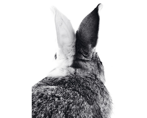 Postkarte bunny ears black