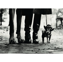 Photo en noir et blanc d''une personne promenant deux chiens en laisse