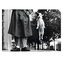 Person mit Trenchcoat und Hund an der Leine im Sprung