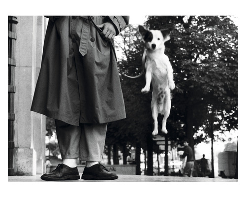 Person mit Trenchcoat und Hund an der Leine im Sprung