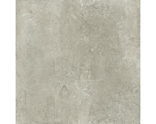Carrelage sol et mur grès cérame fin Livingstone almond 120x120 cm rect. mat
