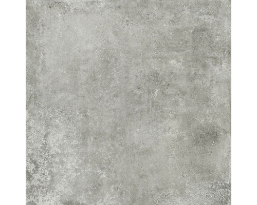 Feinsteinzeug Wand- und Bodenfliese Livingstone ash 120x120 cm rekt. matt