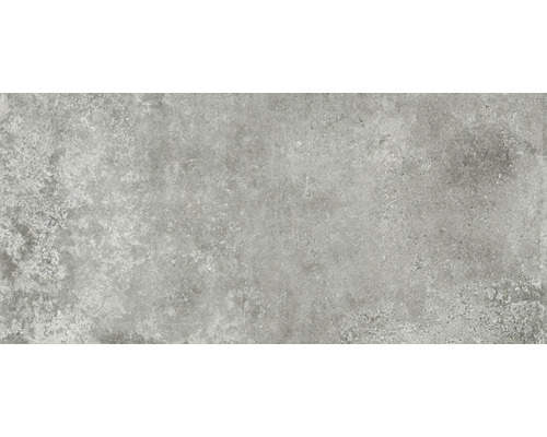 Carrelage sol et mur grès cérame fin Livingstone ash 60x120 cm rect. mat
