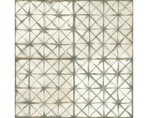 Carrelage mur et sol en grès cérame fin résistant au gel Temple sage 45x45 cm