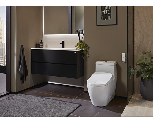 Modernes Badezimmer mit Waschtisch, Spiegel, Toilette und Dekoration