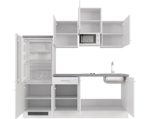 Cuisine équipée avec réfrigérateur, micro-ondes et évier