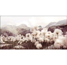 Giclée Leinwandbild Meadow Flowers V 100x200 cm