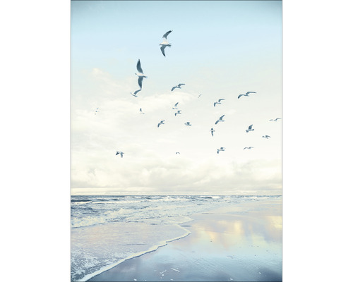 Glasbild Seagulls On The Beach 60x80 cm