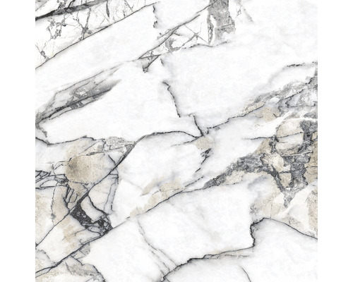 Carreau de marbre avec veinures