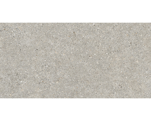 Feinsteinzeug Wand- und Bodenfliese Manhattan Floor grey All in One 60x120 cm