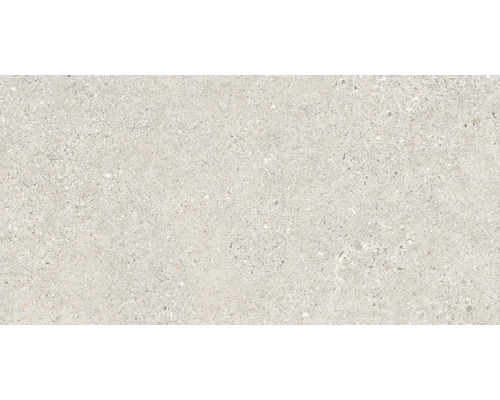Carrelage sol et mur grès cérame fin Manhattan Floor silver All in One 60x120 cm