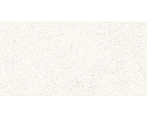 Feinsteinzeug Wand- und Bodenfliese Manhattan Floor bone All in One 60x120 cm