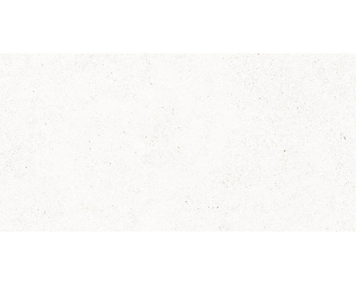 Feinsteinzeug Wand- und Bodenfliese Manhattan Floor white All in One 60x120 cm