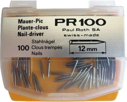 Paquet de 100 clous en acier, longueur 12 mm