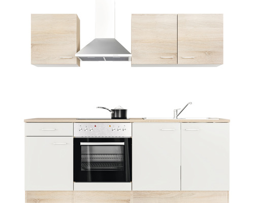 Küchenzeile mit Spüle, Herd, Backofen, Dunstabzugshaube und Hängeschränken
