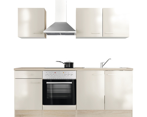 Einbauküche mit Spüle, Herd, Backofen, Dunstabzugshaube und Hängeschränken.