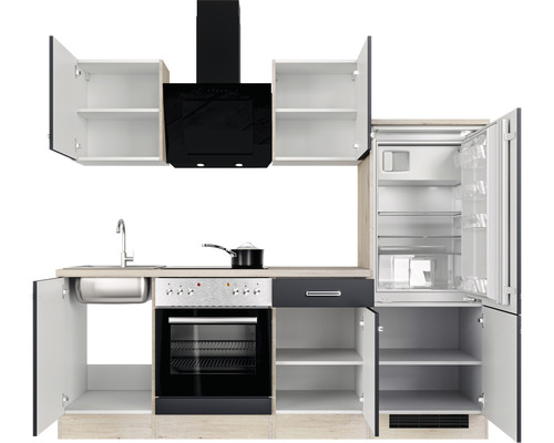 Cuisine équipée avec évier, cuisinière, hotte aspirante et réfrigérateur