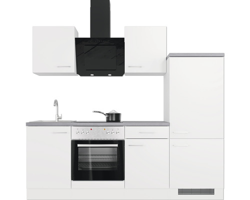 Cuisine complète avec évier, cuisinière, hotte et réfrigérateur