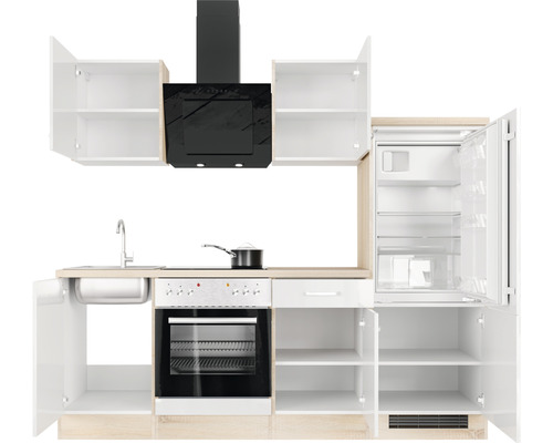 Cuisine complète avec évier, cuisinière, four, réfrigérateur et hotte aspirante
