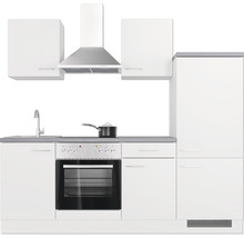 Cuisine complète avec appareils Flex Well Varo 220 cm couleur de façade blanc - couleur du corps blanc 00012356