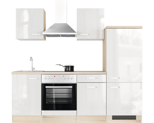 Cuisine équipée avec évier, plaque de cuisson, four, hotte aspirante et armoires