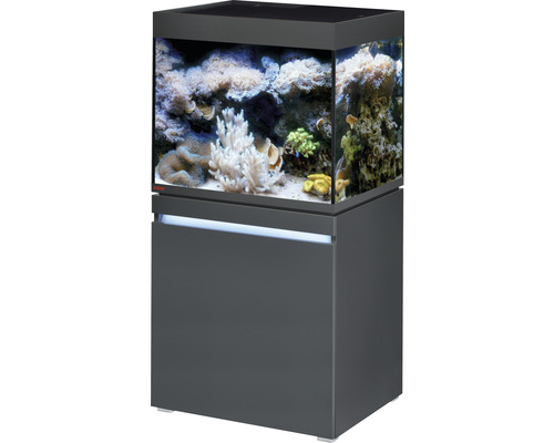Kit complet d'aquarium EHEIM incpiria 230 marine avec éclairage à LED, pompe d'alimentation et meuble bas éclairé graphite