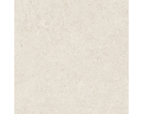 Carrelage sol et mur en grès cérame fin Ghent Floor beige natural 60 x 60 cm