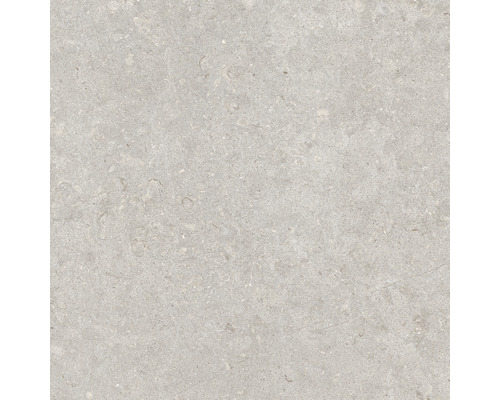 Carrelage sol et mur en grès cérame fin Ghent Floor grey natural 60 x 60 cm