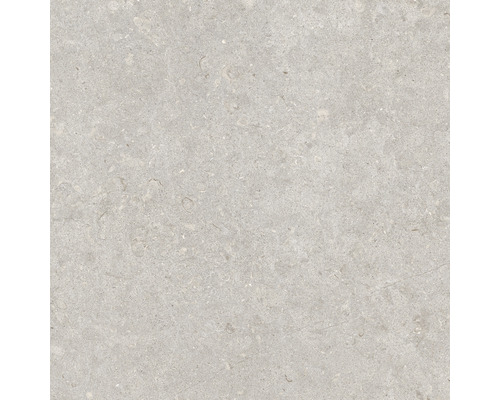 Feinsteinzeug Wand- und Bodenfliese Ghent Floor grey natural 60 x 60 cm