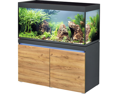 Aquariumkombination EHEIM incpiria 430 mit LED-Beleuchtung und beleuchtbaren Unterschrank graphit/Eiche