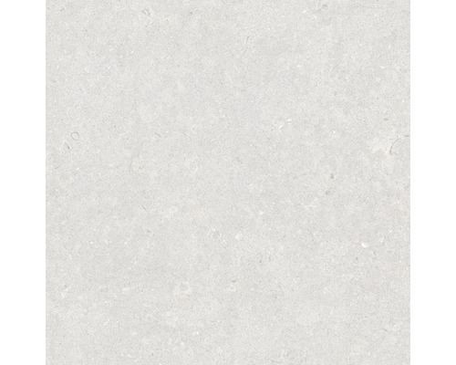 Carrelage sol et mur en grès cérame fin Ghent Floor argent natural 60 x 60 cm