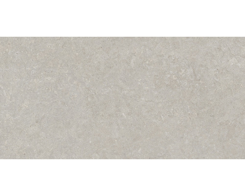 Carrelage sol et mur en grès cérame fin Ghent Floor grey all in one 60 x 120 cm