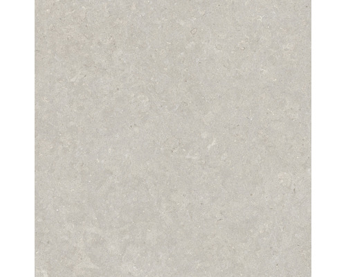 Feinsteinzeug Wand- und Bodenfliese Ghent Floor grey all in one 90 x 90 cm