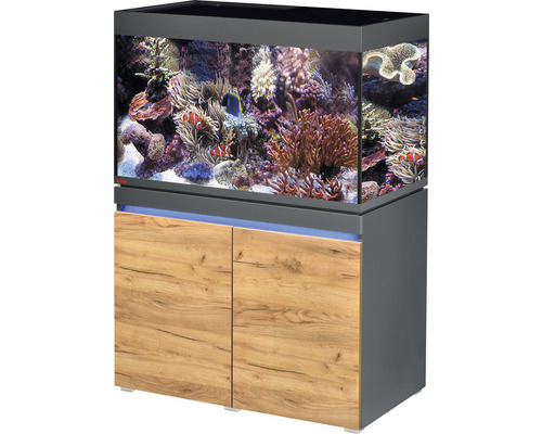 Kit complet d'aquarium EHEIM incpiria 330 marine avec éclairage à LED, pompe d'alimentation et meuble bas éclairé graphite/chêne