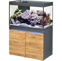 Aquarium mit Unterschrank und mariner Dekoration