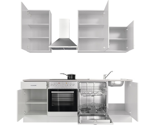 Cuisine complète avec éléments hauts, hotte aspirante, évier, cuisinière, four et lave-vaisselle.