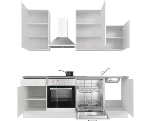 Cuisine équipée avec évier, cuisinière, four, hotte aspirante, lave-vaisselle et placards ouverts