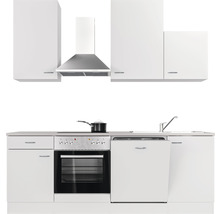 Cuisine complète avec appareils Flex Well Wito 220 cm couleur de façade blanc - couleur du corps blanc 00008213