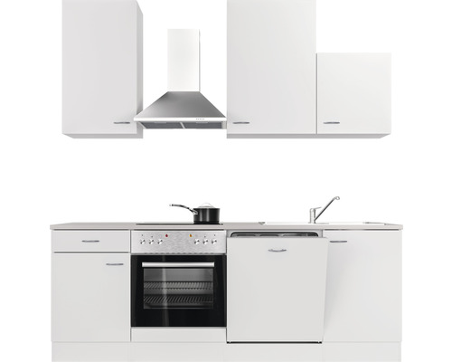 Cuisine avec meubles hauts et bas, hotte aspirante, évier, cuisinière et lave-vaisselle.