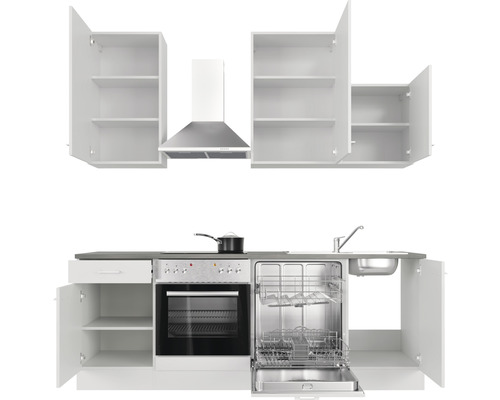 Cuisine équipée avec évier, lave-vaisselle, cuisinière, hotte et éléments hauts