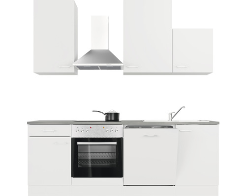 Cuisine complète avec évier, cuisinière, four, lave-vaisselle, hotte aspirante et éléments hauts.