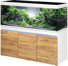 Aquariumkombination mit Unterschrank und Bepflanzung