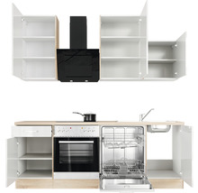 Cuisine équipée avec évier, lave-vaisselle, cuisinière, four, hotte aspirante et placards