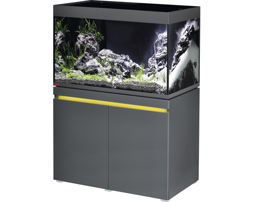 Ensemble d'aquariums EHEIM incpiria 330 avec éclairage à LED et meuble bas éclairé graphite