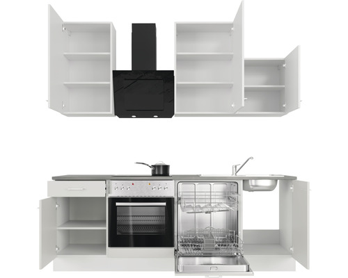 Küchenzeile mit Hängeschränken, Dunstabzugshaube, Herd, Spüle und Geschirrspüler