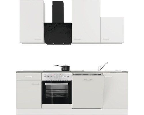 Küchenzeile mit Hängeschränken, Dunstabzugshaube, Spüle, Herd, Backofen und Spülmaschine.