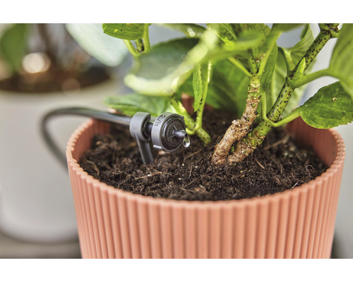 Système d''irrigation pour plante en pot en utilisation