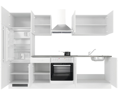 Cuisine équipée avec réfrigérateur, cuisinière, évier et hotte aspirante