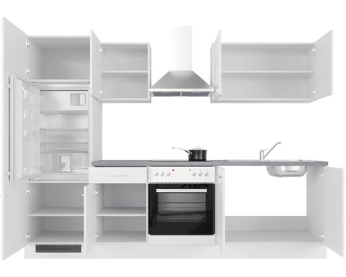 Cuisine complète avec armoires, réfrigérateur, cuisinière, évier et hotte aspirante