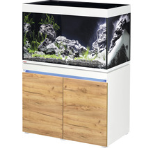 Combinaison d''aquarium avec meuble bas, équipée d''éléments décoratifs